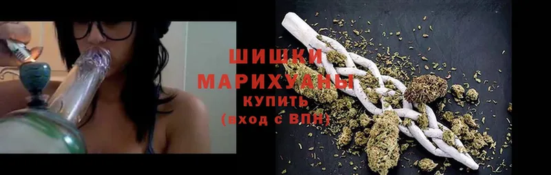 купить наркотик  маркетплейс телеграм  Конопля Amnesia  Гороховец 